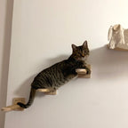 Wall-Mounted Cat Hammock Wooden Cat Tree Tower Jumping Platform Hammock Scratching Post Stairs Perches Shelves Cats Furniture