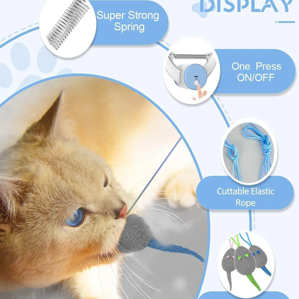 Cat Toys Swing Sticky Disc Elastic Hanging Door Teasing Cat Rope Long Rope Teasing Cat Cat Toy Cat Accessories Pet Kitten Toy