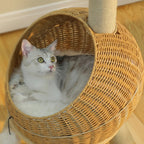 Dinosaur Cat Tree Tower with Sisal Scratching Post Large Rattan Cat Condo for Indoor Wicker Cat Bed with Removable Mat Cat Toys