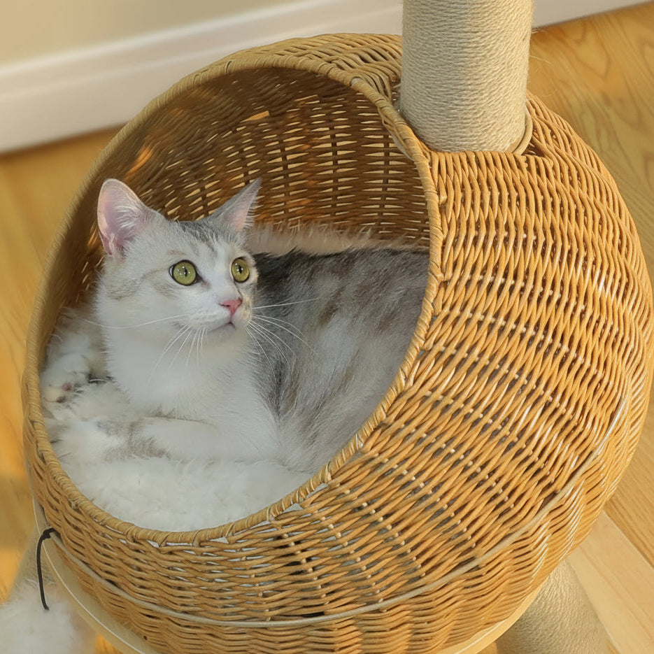 Dinosaur Cat Tree Tower with Sisal Scratching Post Large Rattan Cat Condo for Indoor Wicker Cat Bed with Removable Mat Cat Toys