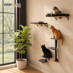 The Modular 5-Piece Wall System