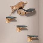 Wall Mounted Cat Shelf Bed with Soft Cushion Cat Hammock Perch Indoor Cat Furniture for Kittens & Adult Cats Climbing Sleeping