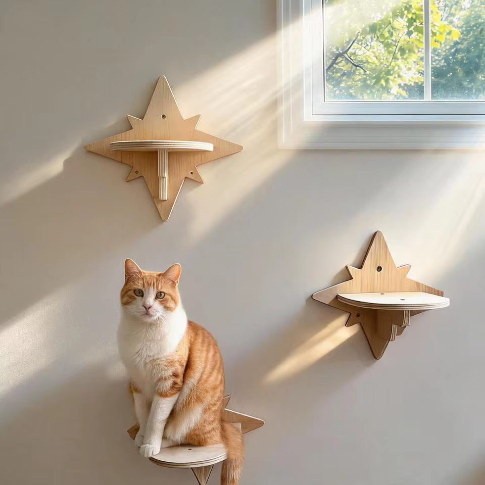 The Celestial Star Step