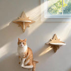 The Celestial Star Step