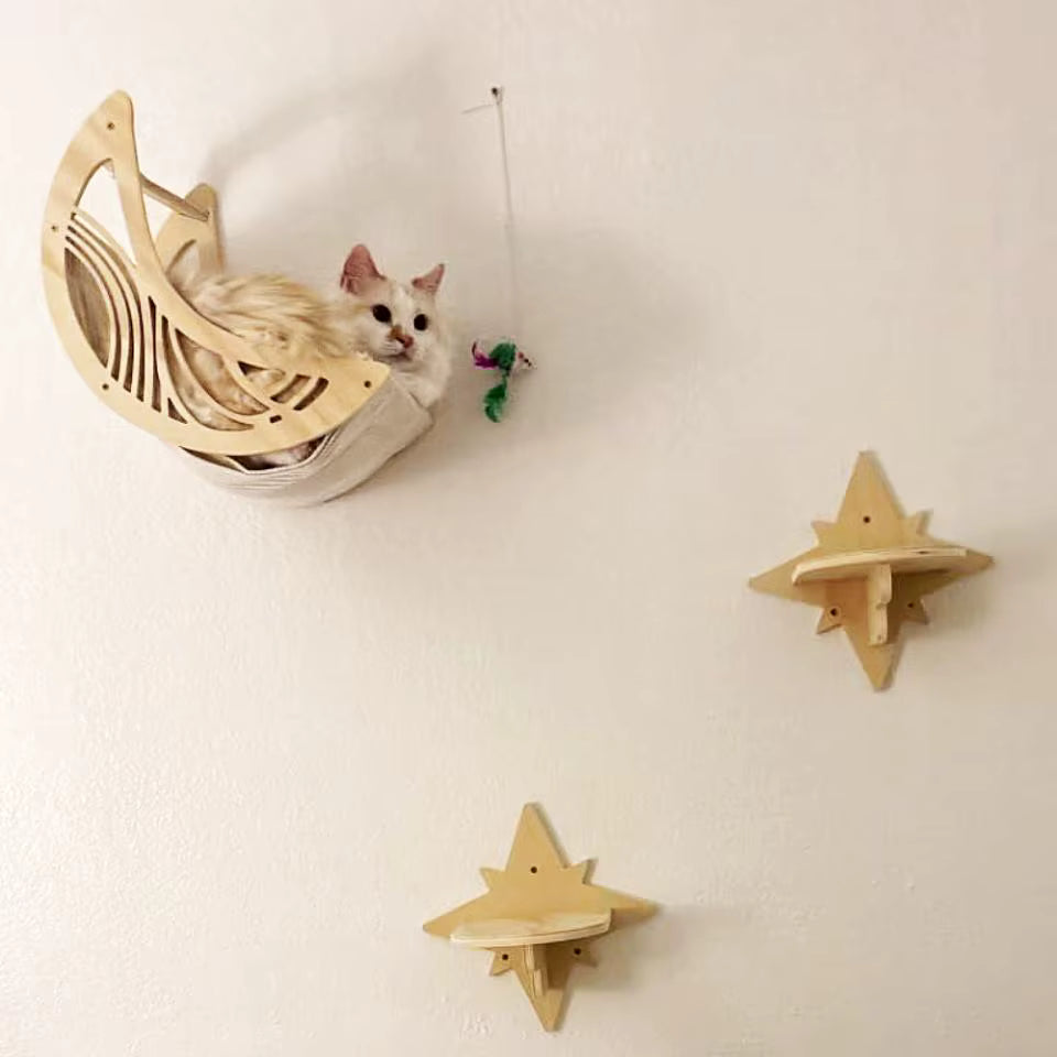 The Celestial Star Step