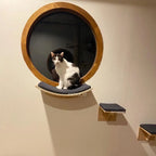 Wall Mounted Cat Shelf Bed with Soft Cushion Cat Hammock Perch Indoor Cat Furniture for Kittens & Adult Cats Climbing Sleeping