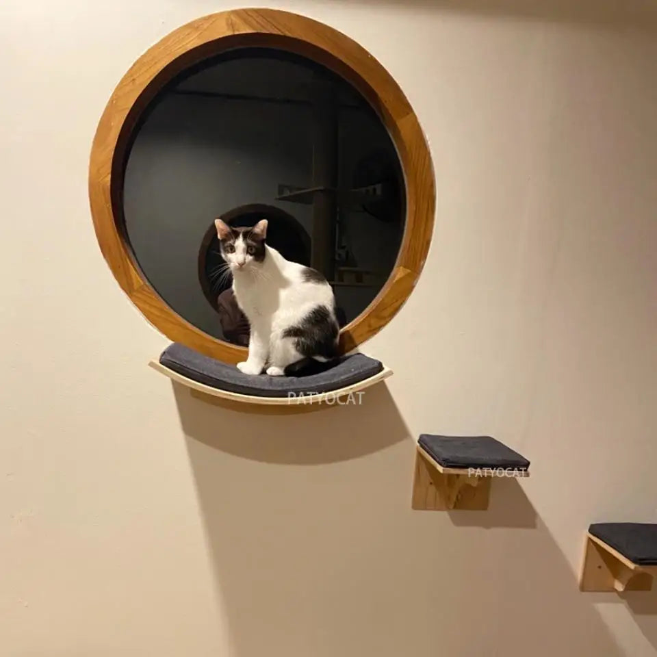 Wall Mounted Cat Shelf Bed with Soft Cushion Cat Hammock Perch Indoor Cat Furniture for Kittens & Adult Cats Climbing Sleeping