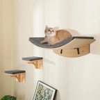 Wall Mounted Cat Shelf Bed with Soft Cushion Cat Hammock Perch Indoor Cat Furniture for Kittens & Adult Cats Climbing Sleeping