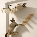 Wall-Mounted Cat Hammock Cat Tree Tower Scratching Post Star-Shaped Steps Ladder Kitten Hiding House Indoor Cats Playground