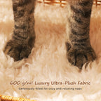 Elephant Cat Condo with Thick Plush Cushion Cute Handwoven Wicker Kitten House for Indoor Cats Natural Rattan Pet Beds Cat Nest