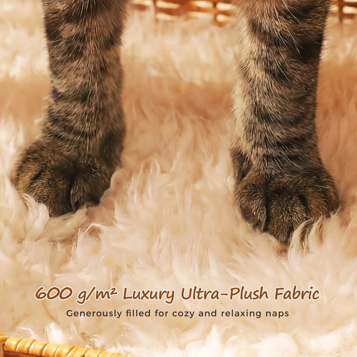 Elephant Cat Condo with Thick Plush Cushion Cute Handwoven Wicker Kitten House for Indoor Cats Natural Rattan Pet Beds Cat Nest