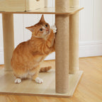 The Observation Tower