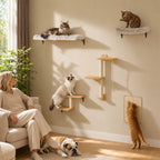 The Modular 5-Piece Wall System