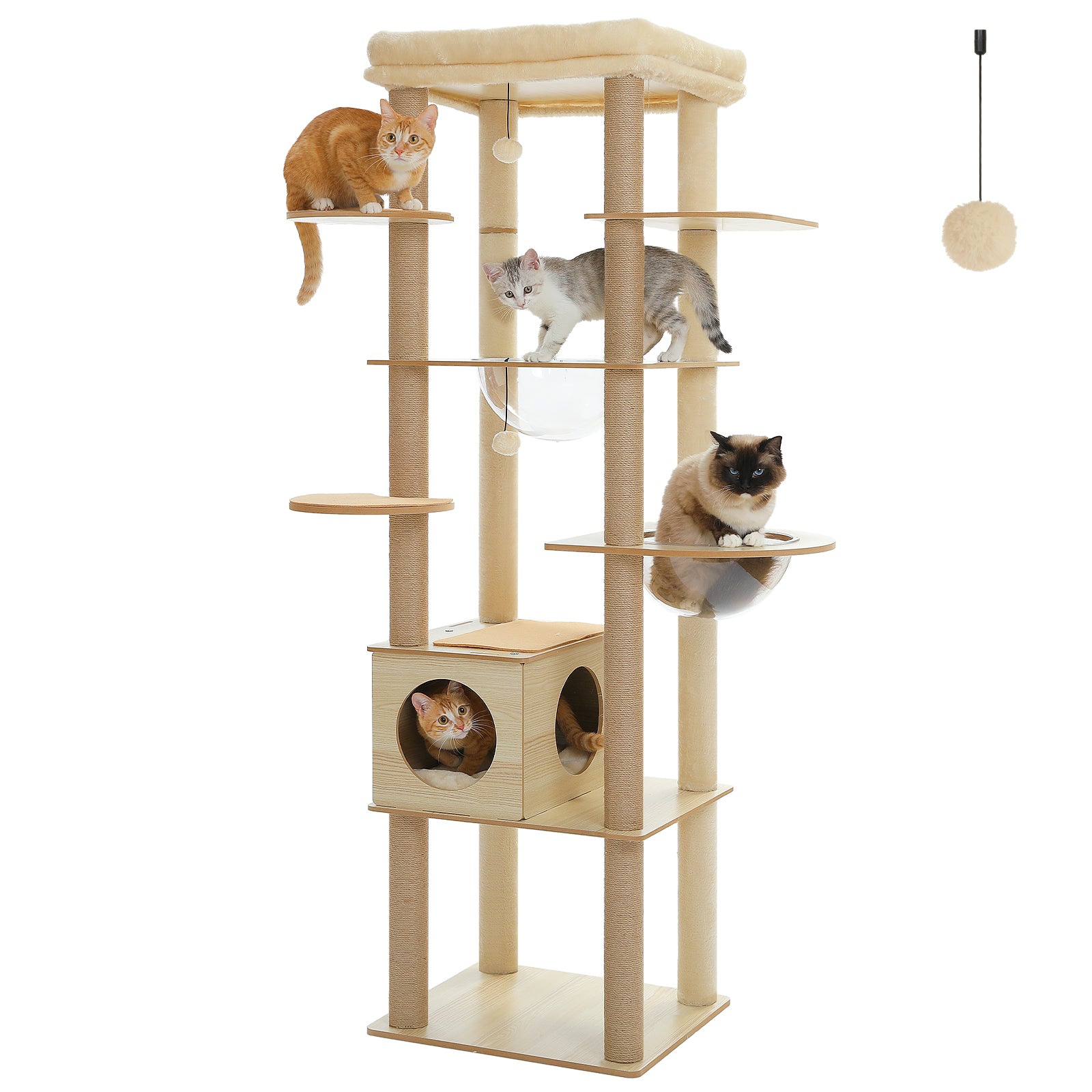 The Observation Tower