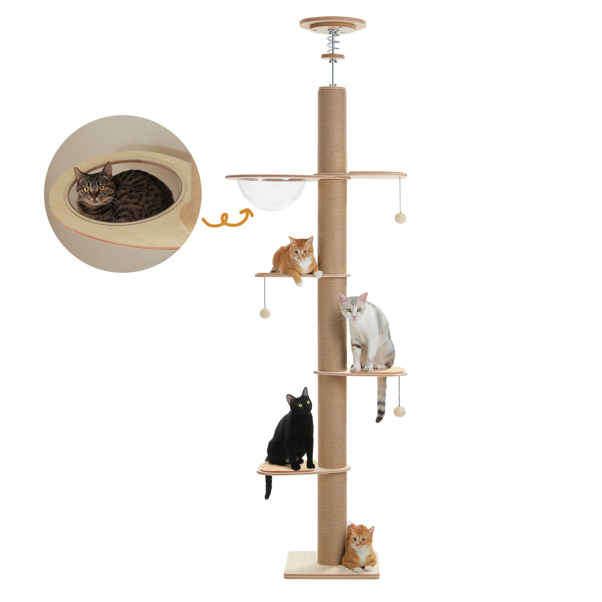The Floor-to-Ceiling Architectural Cat Tower