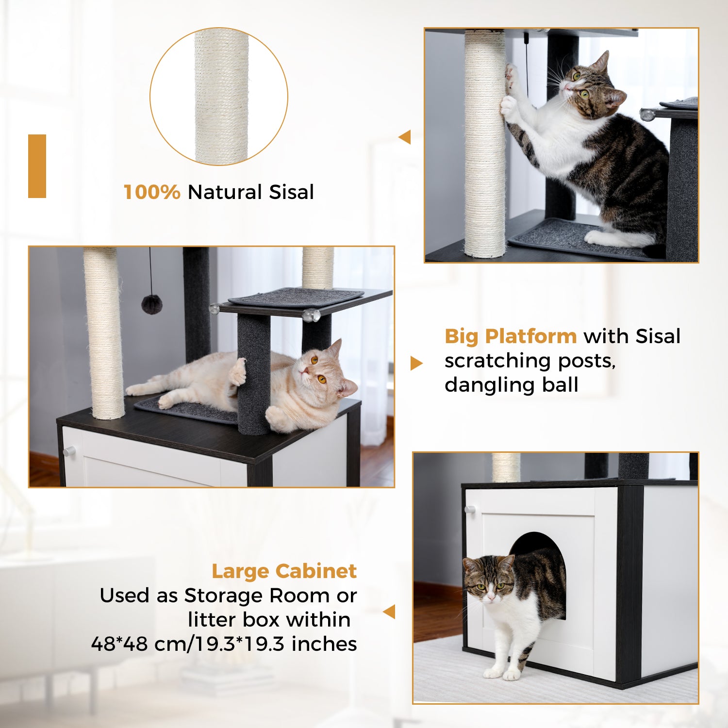 The Basecamp Cabinet