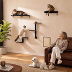 The Modular 5-Piece Wall System