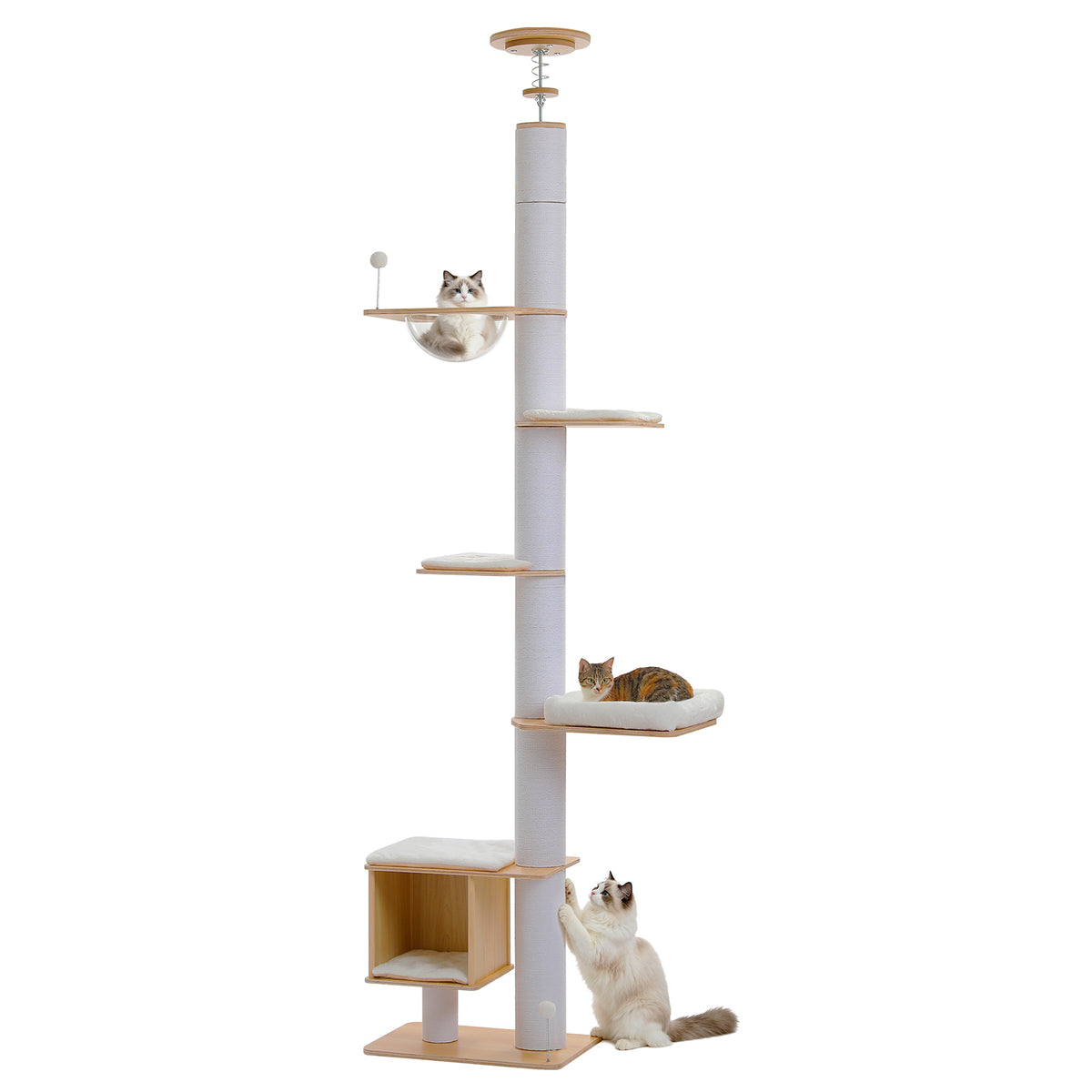 The Floor-to-Ceiling Architectural Cat Tower