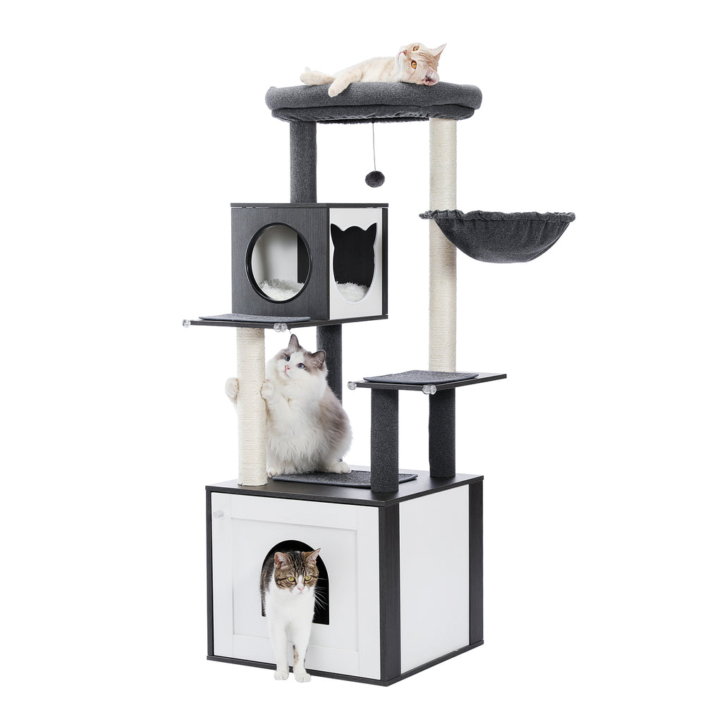 The Basecamp Cabinet