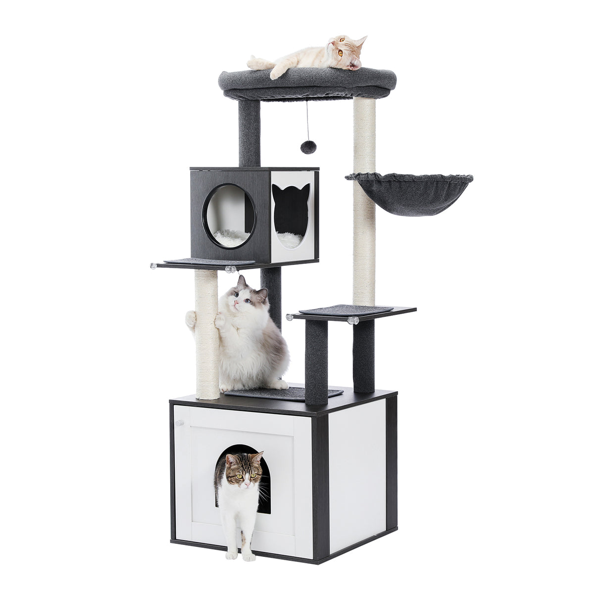 The Basecamp Cabinet