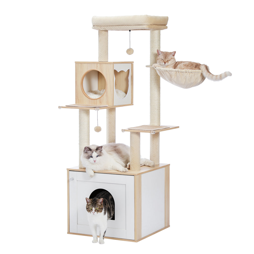 The Basecamp Cabinet