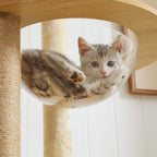 The Observation Tower