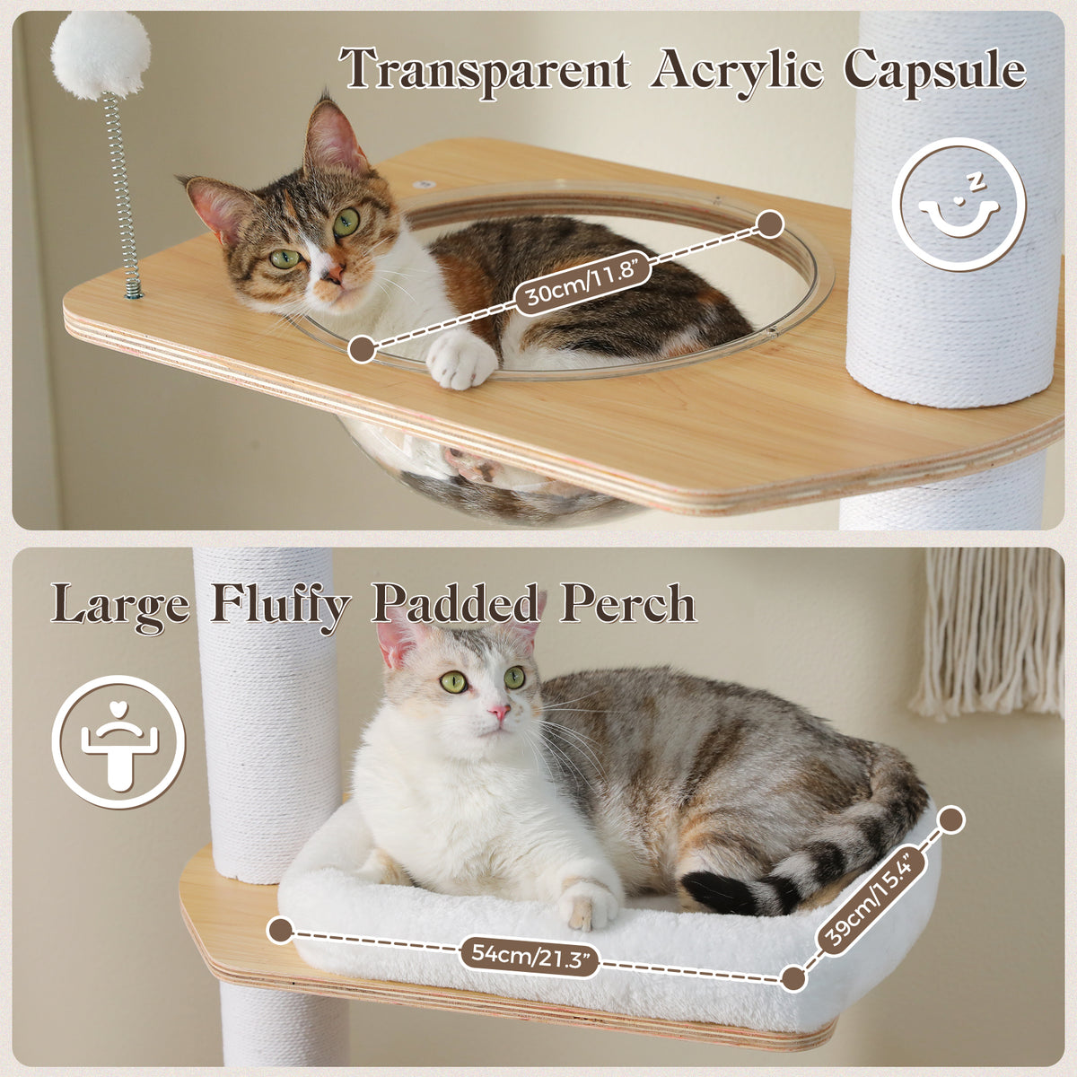 The Floor-to-Ceiling Architectural Cat Tower