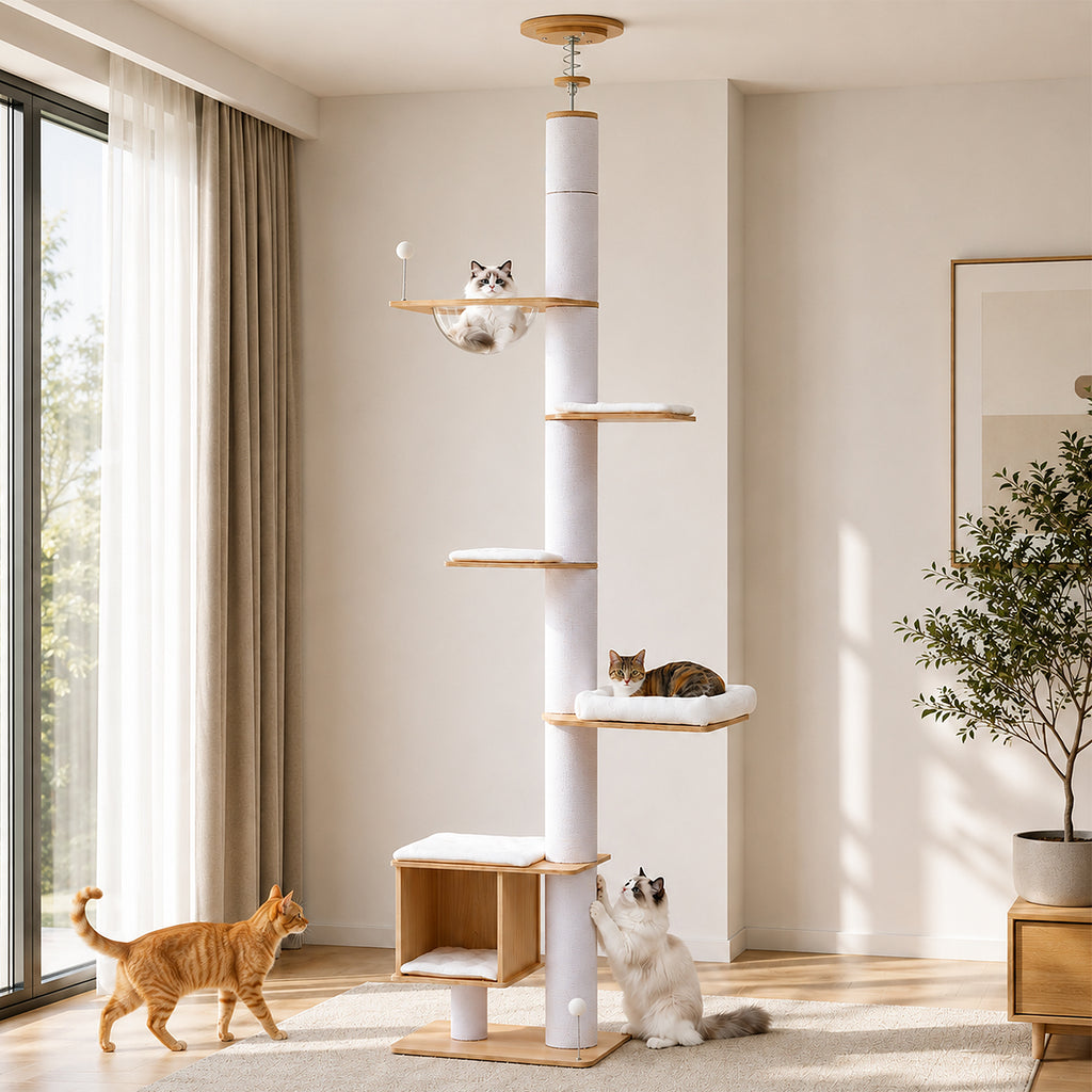 The Floor-to-Ceiling Architectural Cat Tower