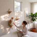 My Kitty City Celestial Star Step solid wood wall-mounted cat perch with a ginger cat sitting on it in a bright room
