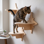 My Kitty City Celestial Star Step solid wood wall-mounted cat climbing platform with a tabby cat stepping on it.