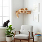 My Kitty City wooden wall-mounted cat shelf with a resting bed and railing, installed in a bright living room corner.