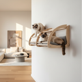 Wall-Mounted Cat House in Upscale Home