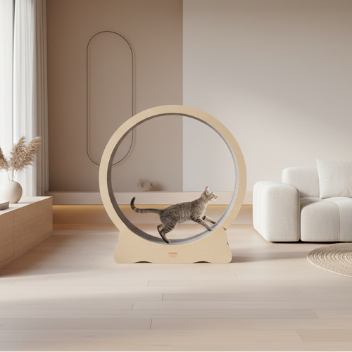 Wooden Cat Wheel in Modern Minimalist Home